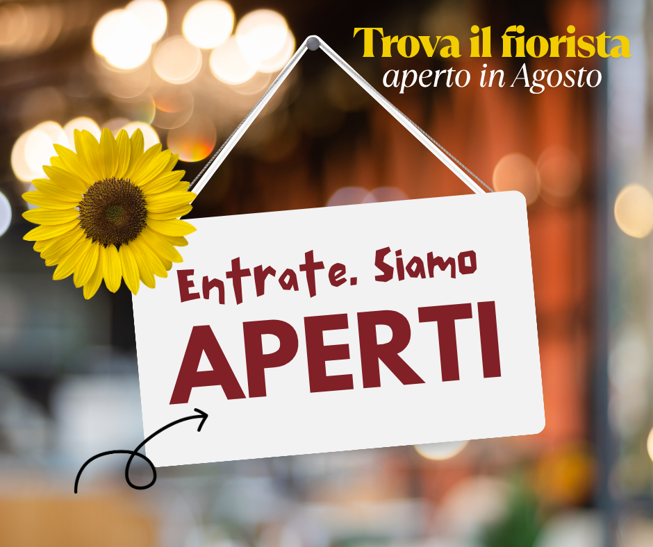 apertura agosto